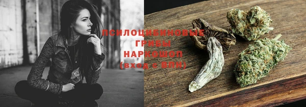 spice Алзамай